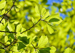 Poradnik Nowe ekologiczne klimatyzatory przenośne TORELL